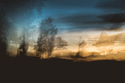 Ambalo's nights
