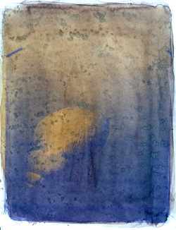 Anthotypes