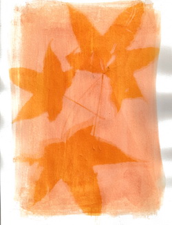 Anthotypes