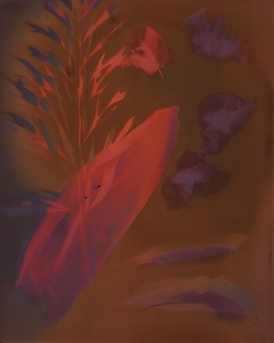 Lumen print